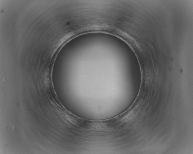 X0000074231170200609011234