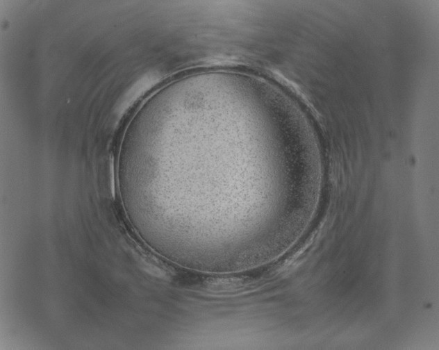 X0000074231171200609011234