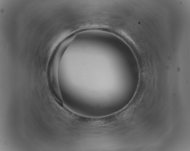 X0000074231173200609011234