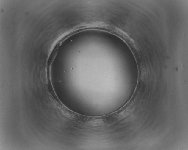 X0000074231174200609011234