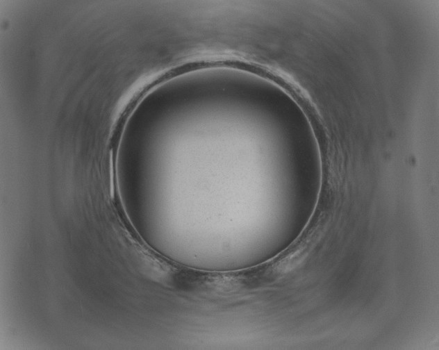 X0000074231175200609011234