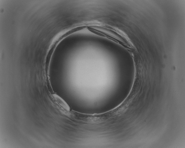 X0000074231176200609011234