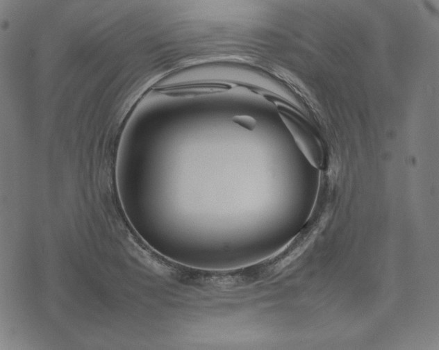 X0000074231177200609011234