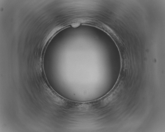 X0000074231178200609011234