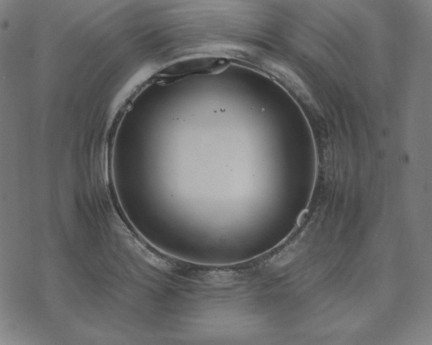 X0000074231180200609011234