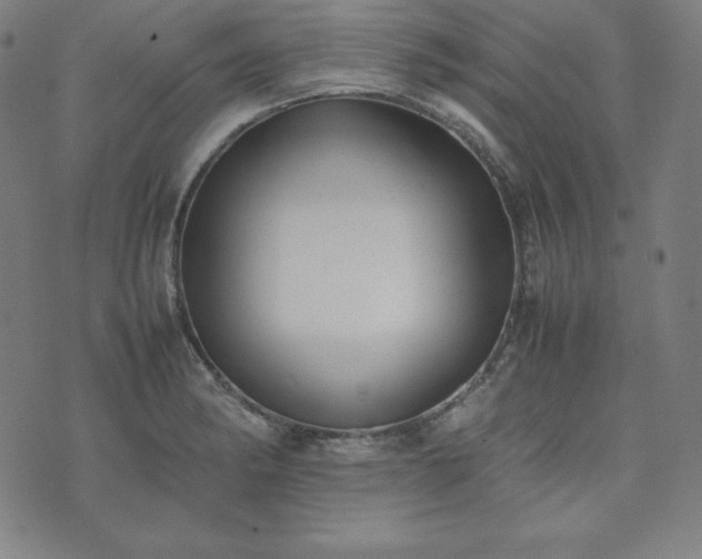 X0000074231182200609011234