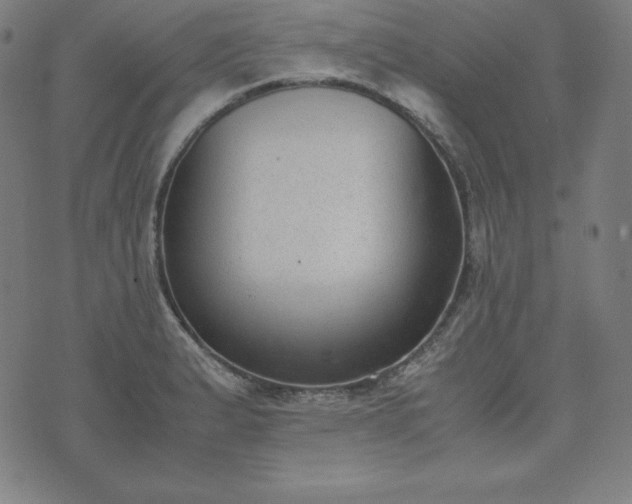 X0000074231183200609011234