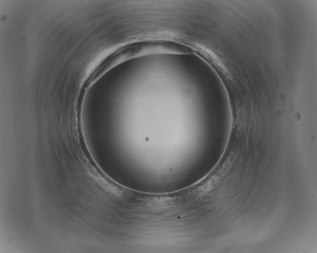 X0000074231184200609011234