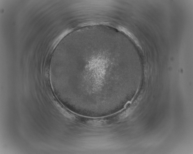 X0000074231185200609011234