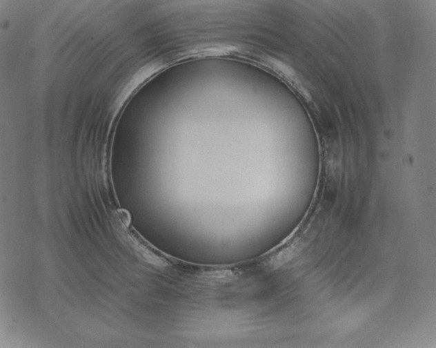 X0000074231186200609011234