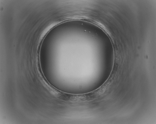 X0000074231187200609011234