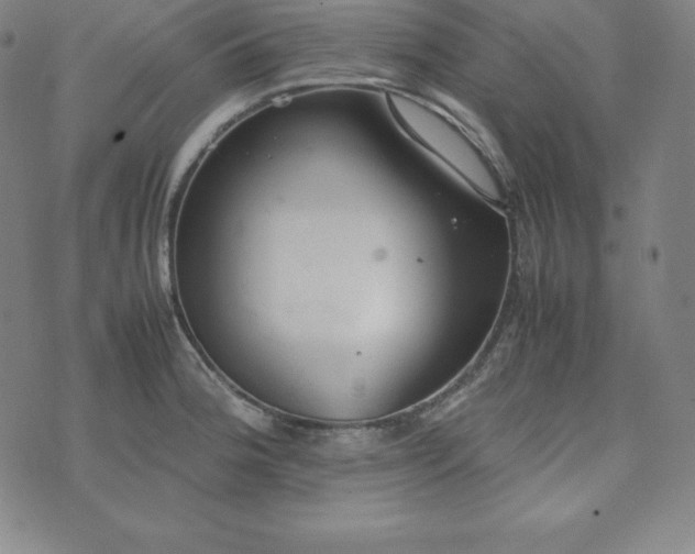 X0000074231188200609011234