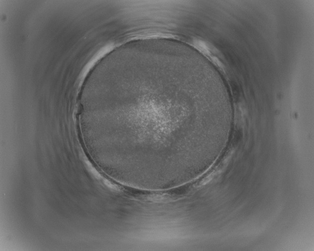 X0000074231189200609011234