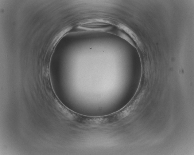 X0000074231193200609011234