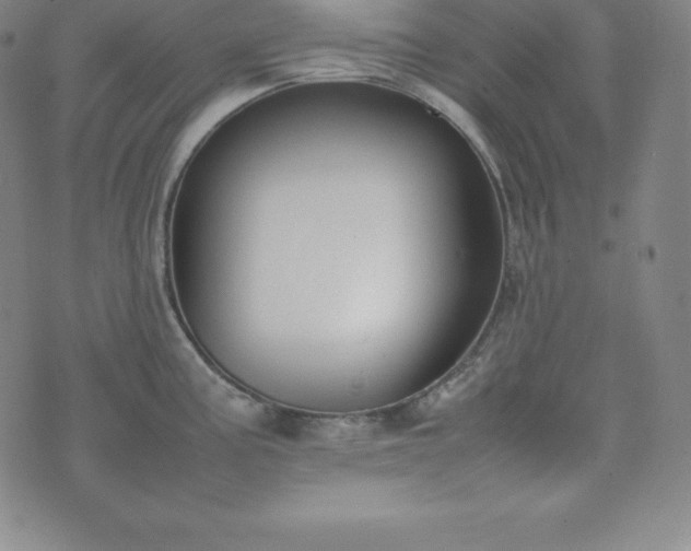 X0000074231195200609011234