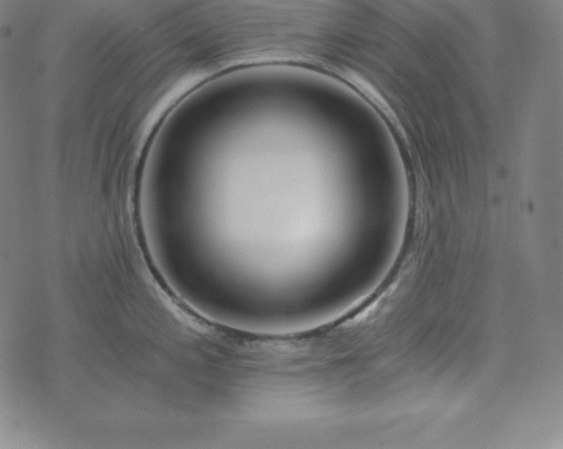 X0000074231197200609011234