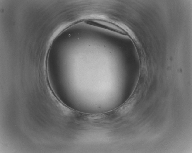 X0000074231199200609011234