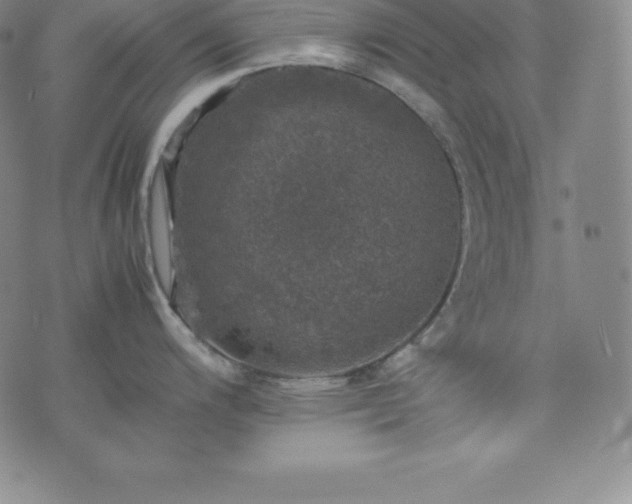 X0000074231200200609011234