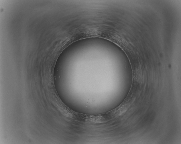 X0000074231201200609011233