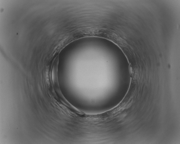 X0000074231202200609011233