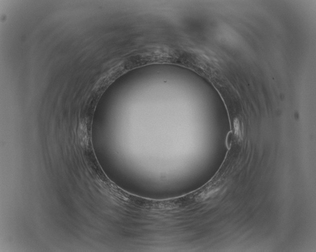 X0000074231203200609011233