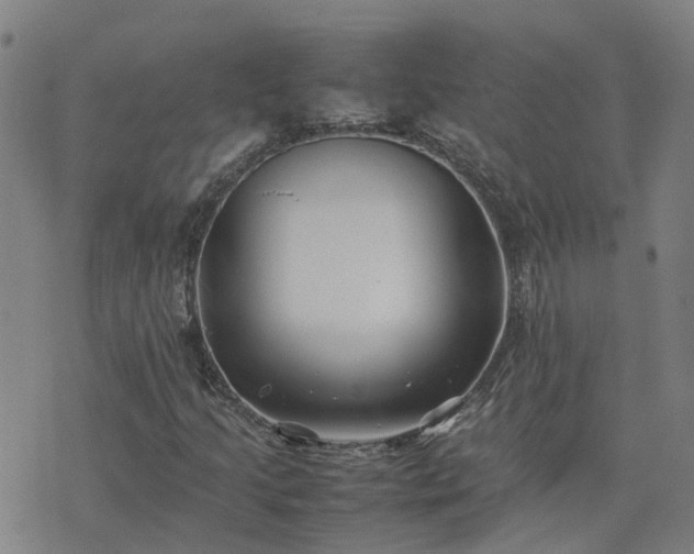 X0000074231205200609011233