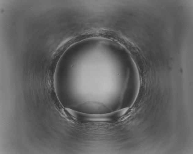 X0000074231206200609011233