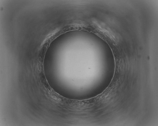 X0000074231207200609011233