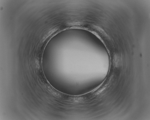 X0000074231209200609011233