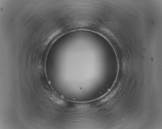 X0000074231210200609011233