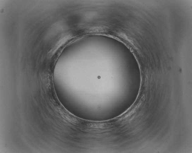 X0000074231211200609011233