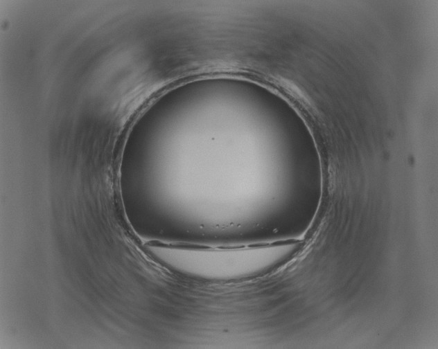 X0000074231212200609011233