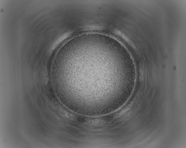 X0000074231213200609011233