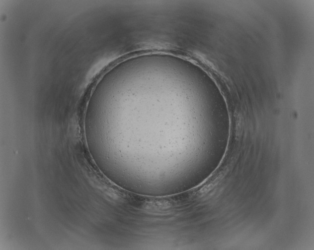 X0000074231215200609011233