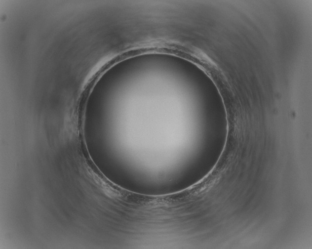 X0000074231216200609011233