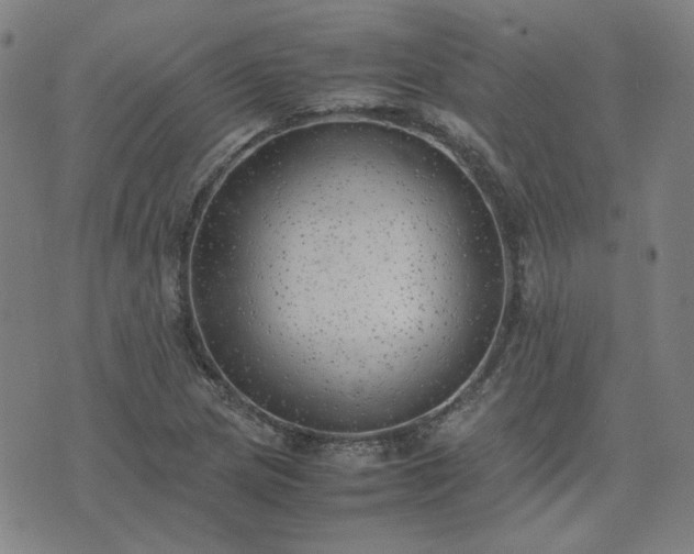 X0000074231217200609011233