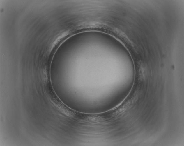 X0000074231218200609011233