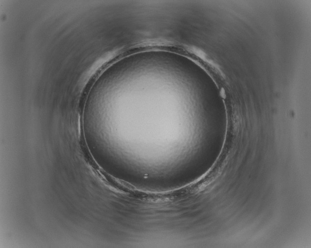 X0000074231221200609011233