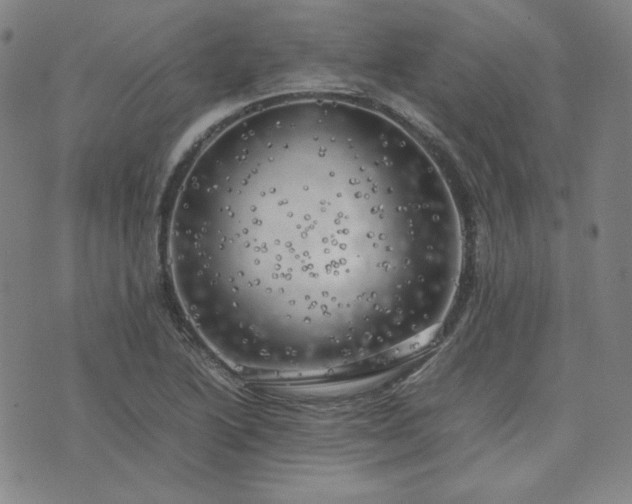 X0000074231222200609011233