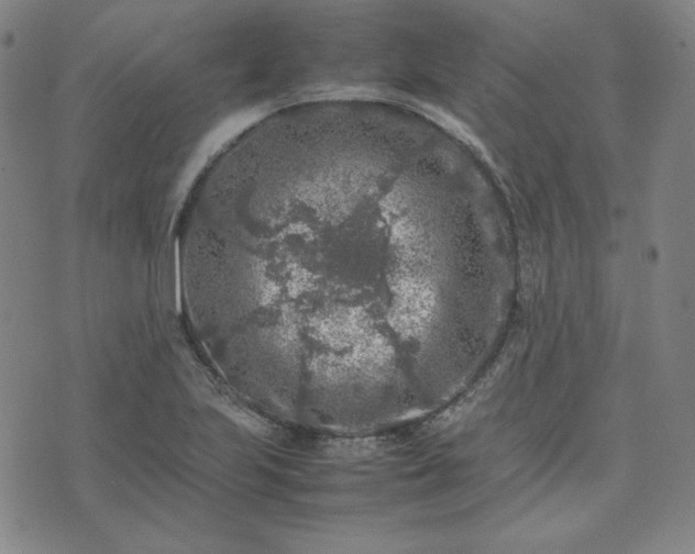 X0000074231223200609011233