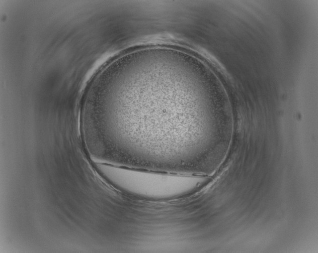 X0000074231224200609011233