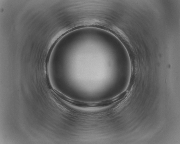 X0000074231226200609011233