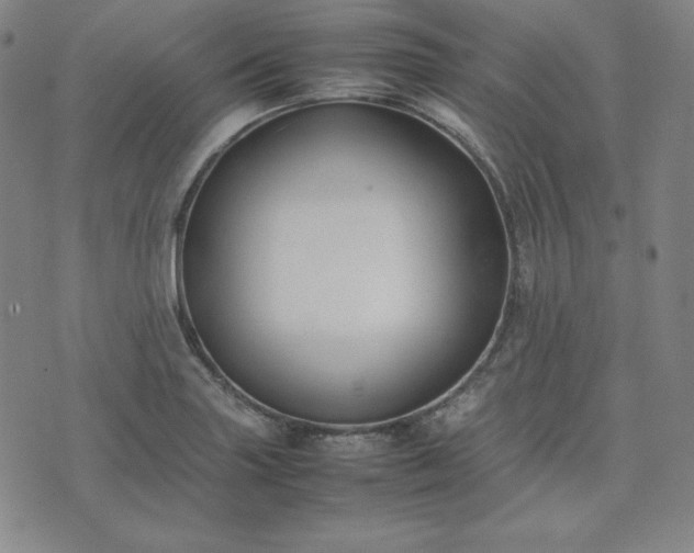 X0000074231227200609011233