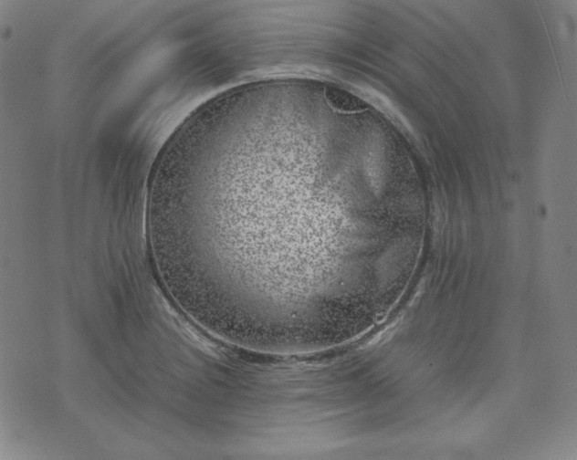 X0000074231228200609011233