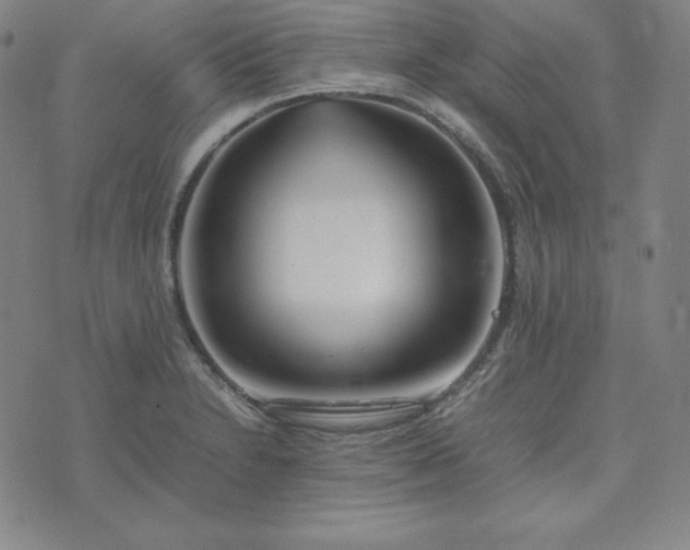 X0000074231230200609011233