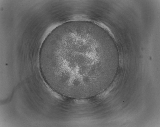 X0000074231231200609011234