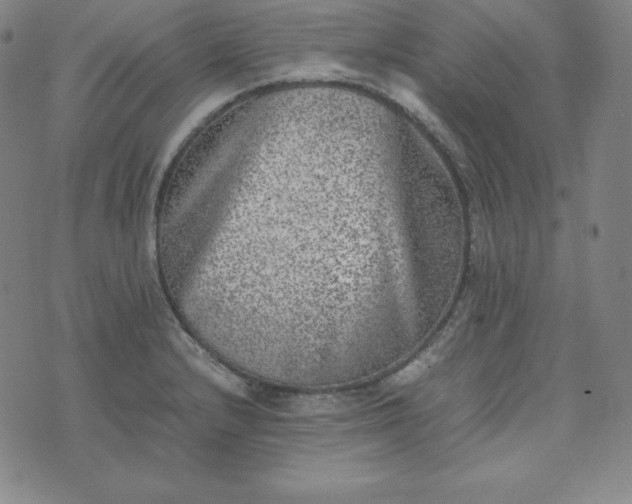 X0000074231232200609011234