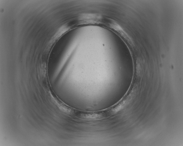 X0000074231233200609011234