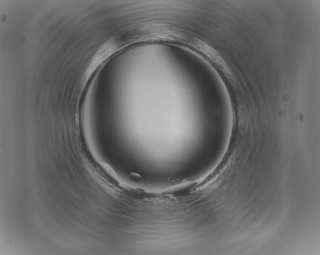 X0000074231234200609011234