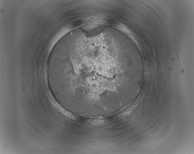 X0000074231235200609011234